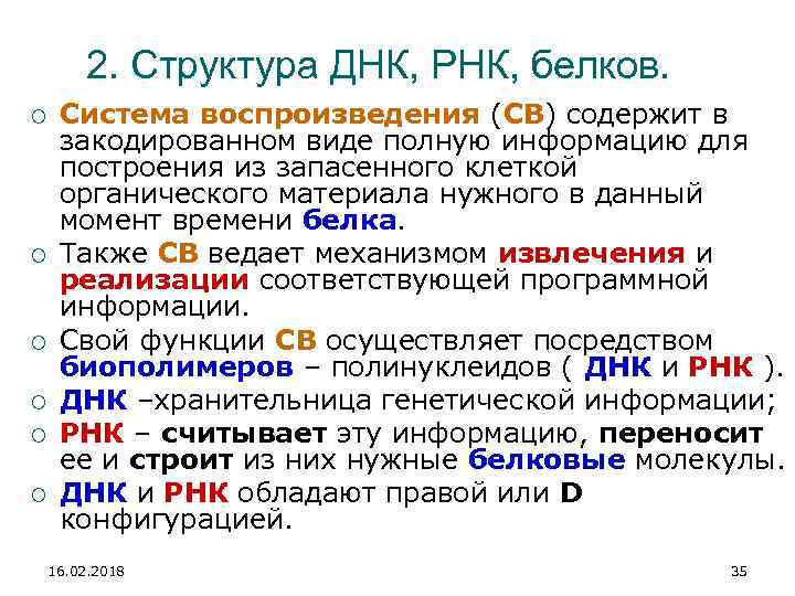 2. Структура ДНК, РНК, белков. Система воспроизведения (СВ) содержит в закодированном виде полную информацию