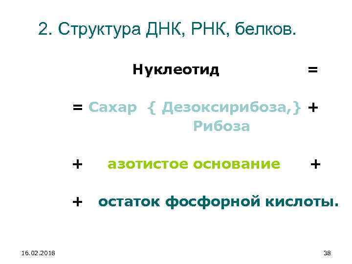 2. Структура ДНК, РНК, белков. Нуклеотид = Сахар { Дезоксирибоза, } + Рибоза +