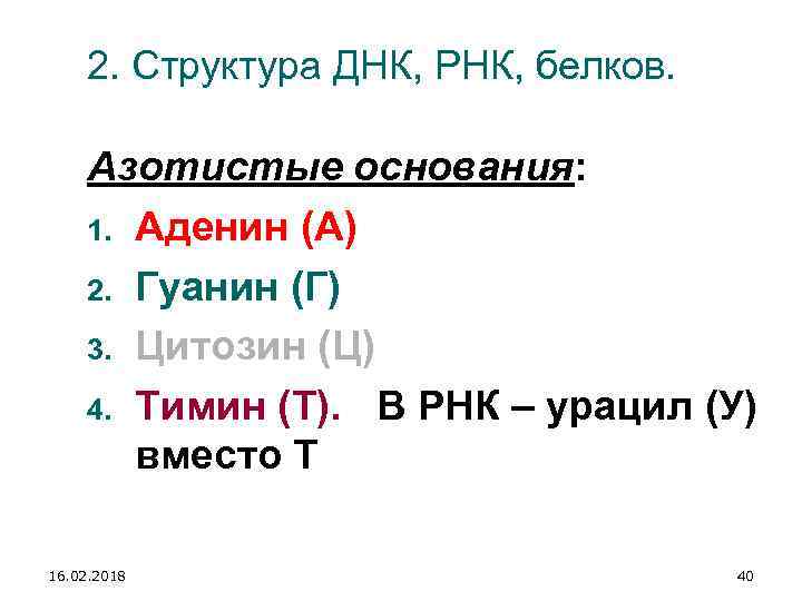 Азотистые основания днк и рнк