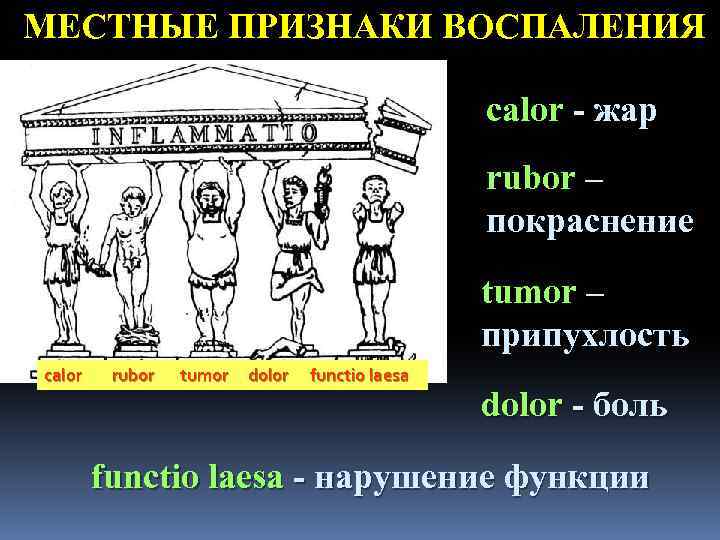 МЕСТНЫЕ ПРИЗНАКИ ВОСПАЛЕНИЯ calor - жар rubor – покраснение tumor – припухлость calor rubor