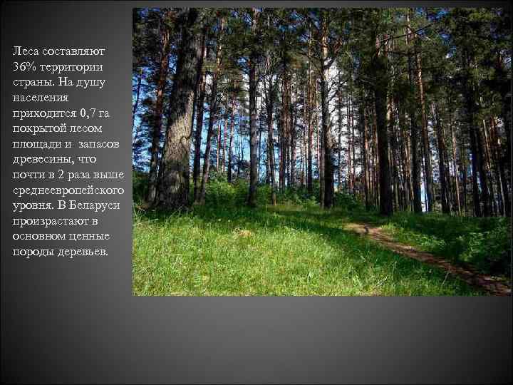 Леса составляют 36% территории страны. На душу населения приходится 0, 7 га покрытой лесом