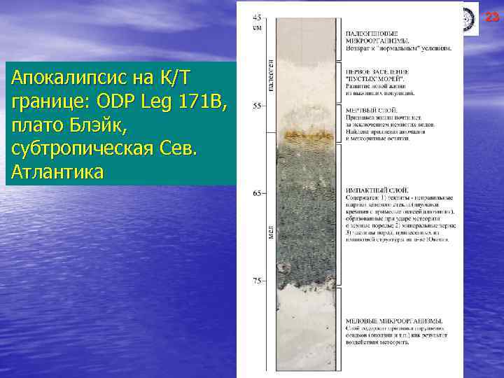 23 Апокалипсис на К/Т границе: ODP Leg 171 B, плато Блэйк, субтропическая Сев. Атлантика