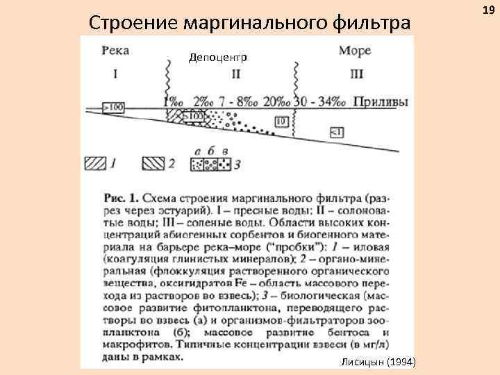 Строение маргинального фильтра Депоцентр Лисицын (1994) 19 