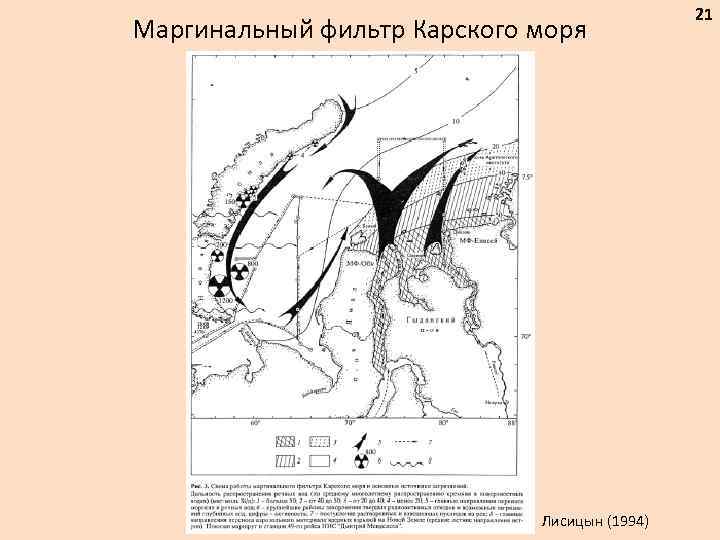 Маргинальный фильтр Карского моря Лисицын (1994) 21 