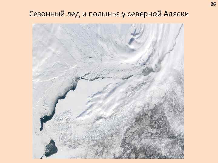 26 Сезонный лед и полынья у северной Аляски 