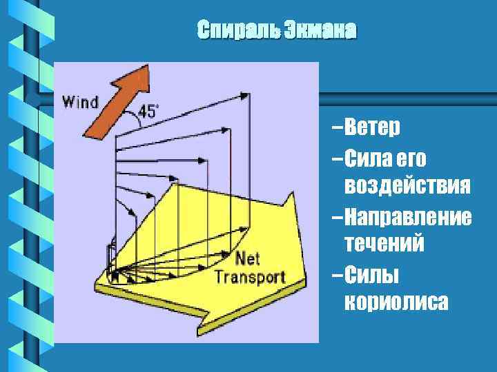Спираль Экмана – Ветер – Сила его воздействия – Направление течений – Силы кориолиса