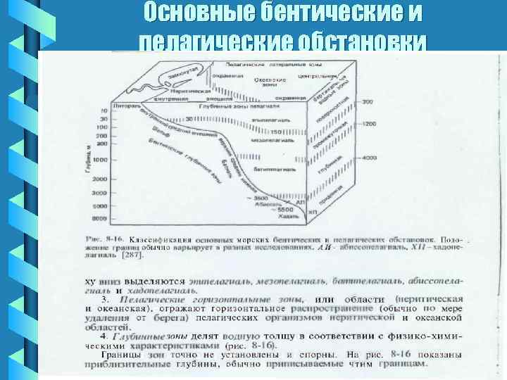 Основные бентические и пелагические обстановки 