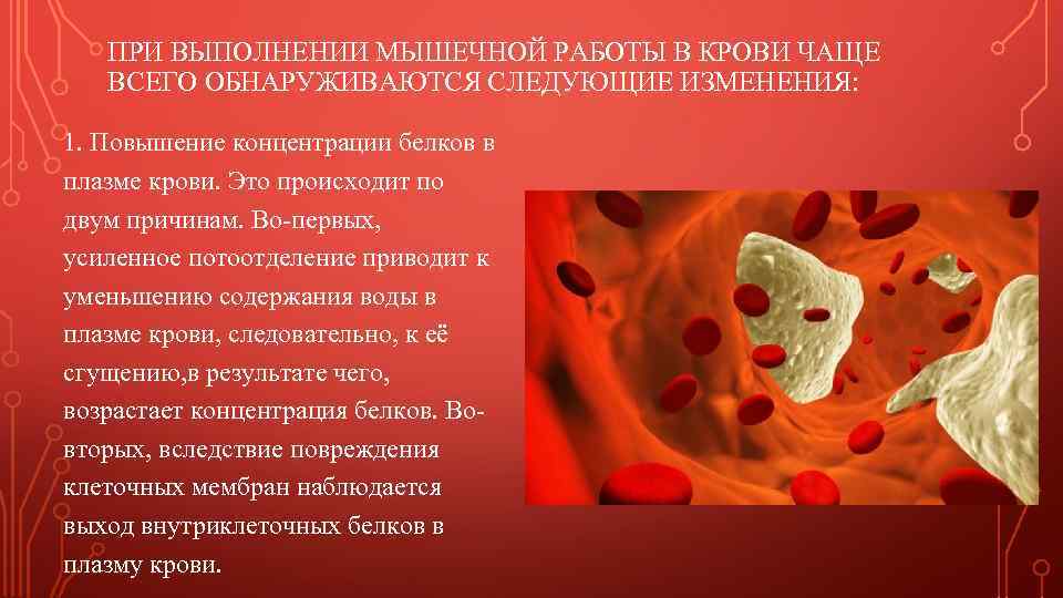 ПРИ ВЫПОЛНЕНИИ МЫШЕЧНОЙ РАБОТЫ В КРОВИ ЧАЩЕ ВСЕГО ОБНАРУЖИВАЮТСЯ СЛЕДУЮЩИЕ ИЗМЕНЕНИЯ: 1. Повышение концентрации