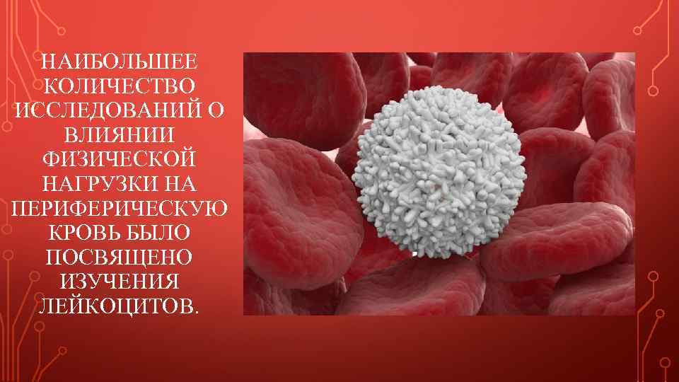 НАИБОЛЬШЕЕ КОЛИЧЕСТВО ИССЛЕДОВАНИЙ О ВЛИЯНИИ ФИЗИЧЕСКОЙ НАГРУЗКИ НА ПЕРИФЕРИЧЕСКУЮ КРОВЬ БЫЛО ПОСВЯЩЕНО ИЗУЧЕНИЯ ЛЕЙКОЦИТОВ.