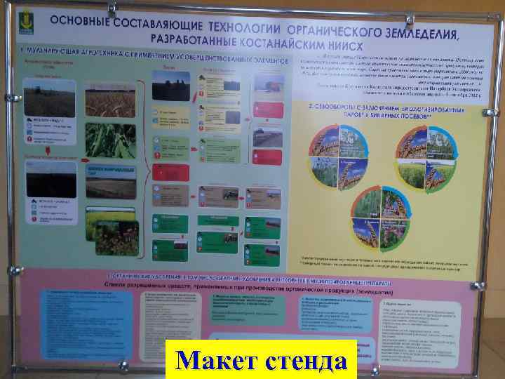 Макет стенда 