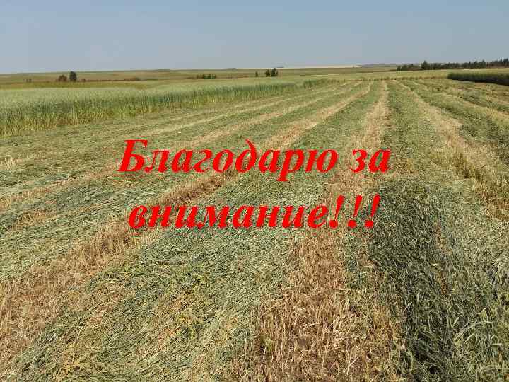 Благодарю за внимание!!! 