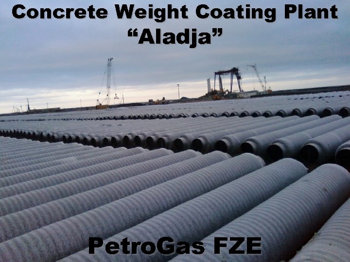 Concrete Weight Coating Plant “Aladja” Petro. Gas FZE 