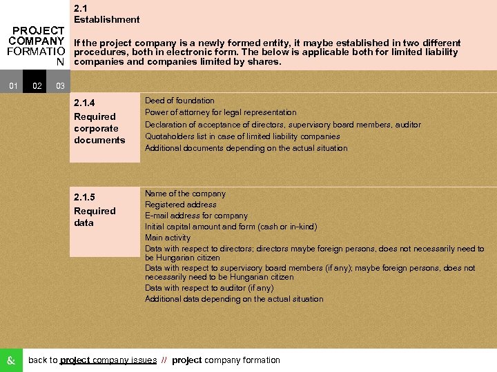 2. 1 Establishment PROJECT COMPANY If the project company is a newly formed entity,