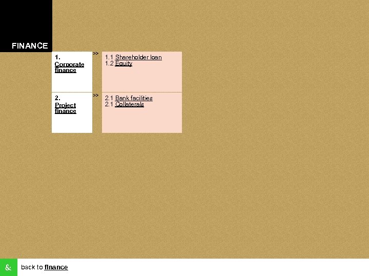 FINANCE 1. Corporate finance 1. 1 Shareholder loan 1. 2 Equity 2. Project finance