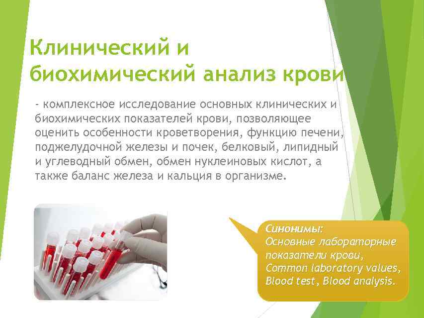 Клинический и биохимический анализ крови - комплексное исследование основных клинических и биохимических показателей крови,