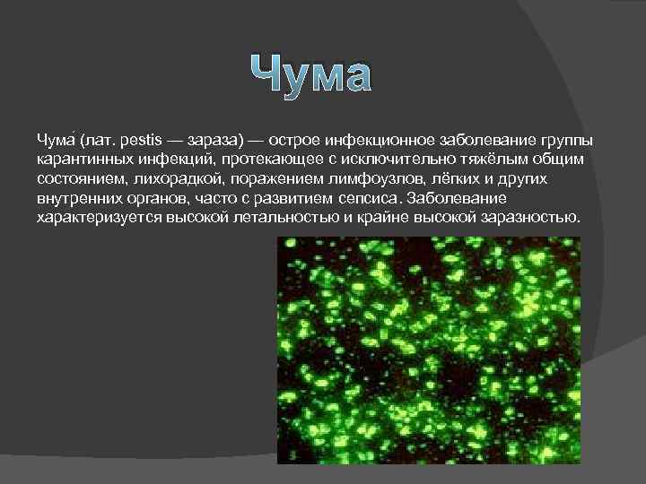 Чума (лат. pestis — зараза) — острое инфекционное заболевание группы карантинных инфекций, протекающее с