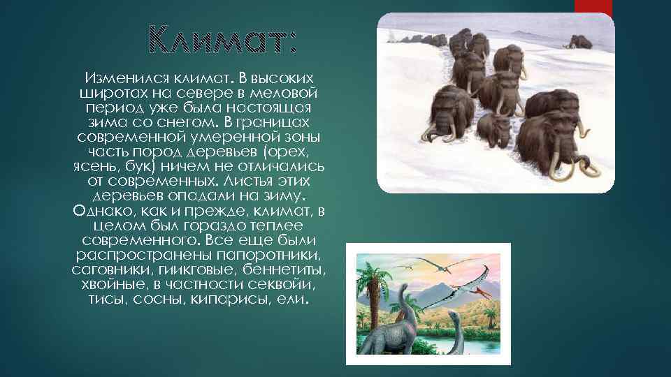 Изменился климат. В высоких широтах на севере в меловой период уже была настоящая зима