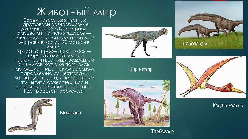 Животный мир Среди наземных животных царствовали разнообразные динозавры. Это был период расцвета гигантских ящеров