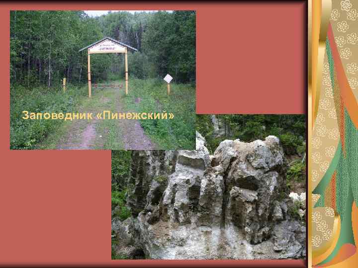 Заповедник «Пинежский» 