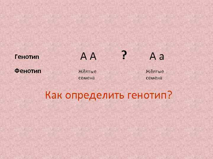 Генотип Фенотип АА Жёлтые семена ? Аа Жёлтые семена Как определить генотип? 