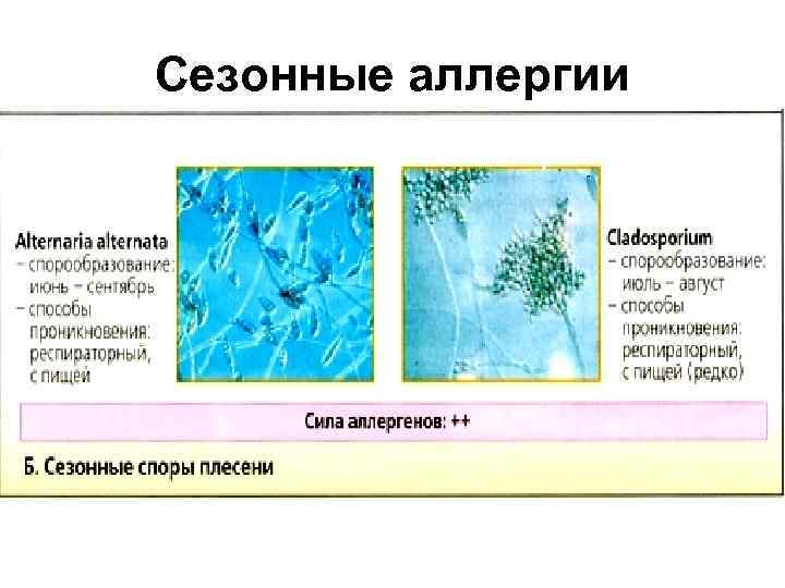 Сезонные аллергии 