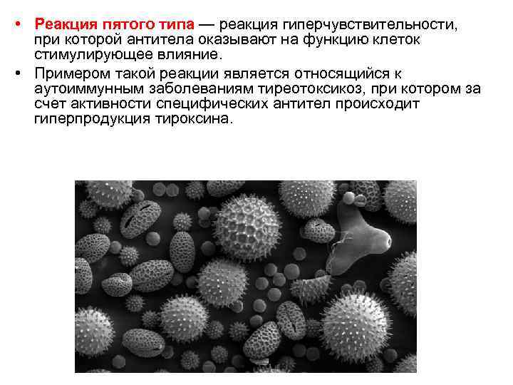  • Реакция пятого типа — реакция гиперчувствительности, при которой антитела оказывают на функцию