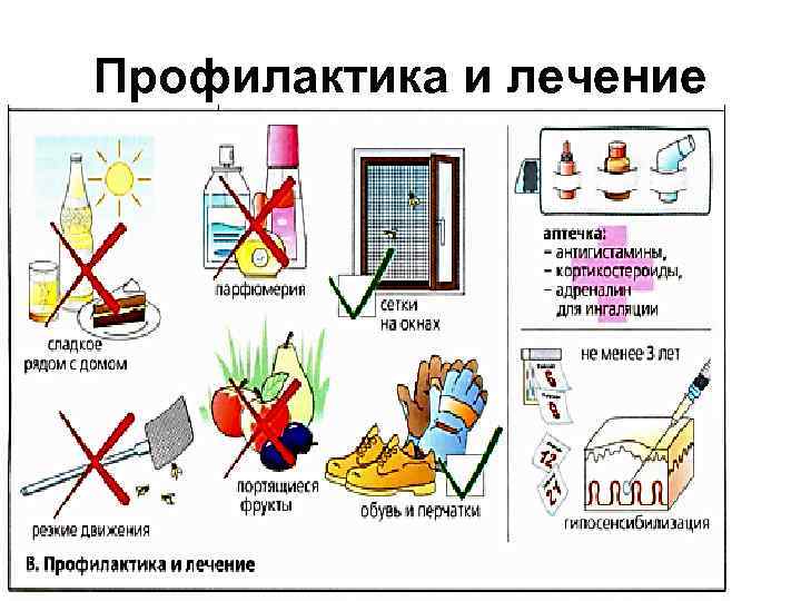 Профилактика и лечение 