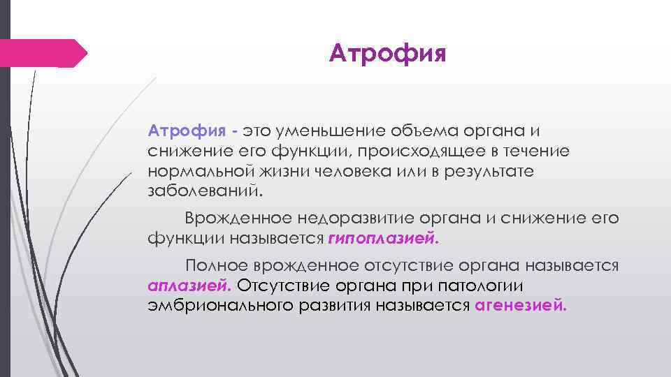 Орган выполняющий функцию сокращения. Врожденное недоразвитие органа и снижение его функций называют. Врожденное недоразвитие органа и снижение его функции это. . Атрофия — прижизненное уменьшение объема ткани или органа.