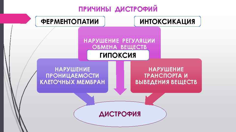 Виды дистрофий с картинками