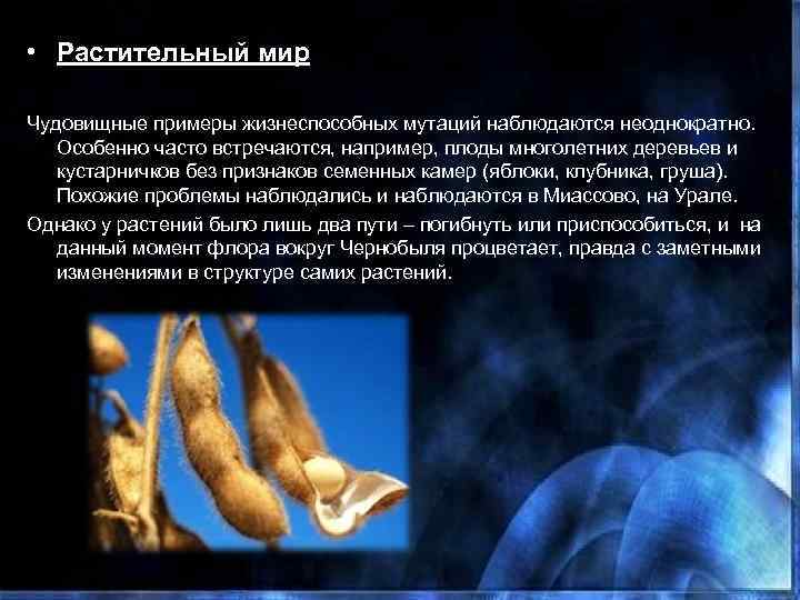  • Растительный мир Чудовищные примеры жизнеспособных мутаций наблюдаются неоднократно. Особенно часто встречаются, например,