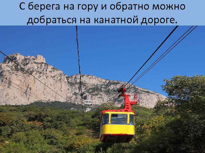С берега на гору и обратно можно добраться на канатной дороге. 