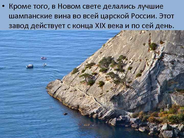  • Кроме того, в Новом свете делались лучшие шампанские вина во всей царской