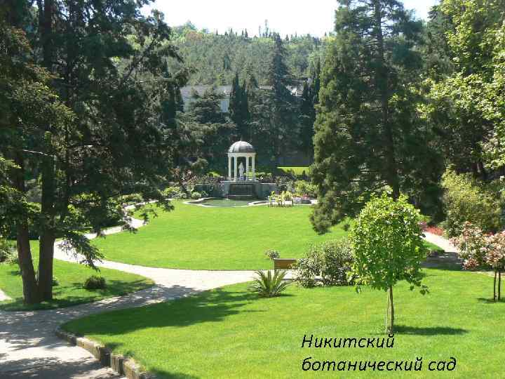 Никитский ботанический сад 