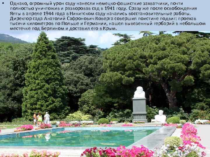 • Однако, огромный урон саду нанесли немецко-фашисткие захватчики, почти полностью уничтожив и разворовав
