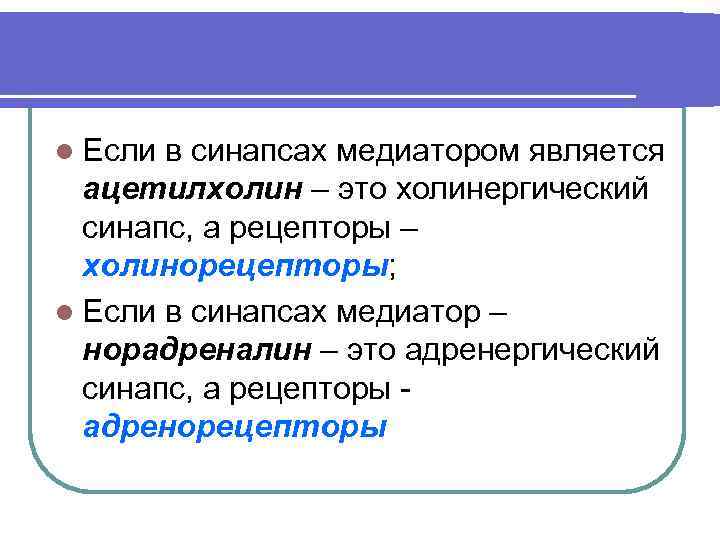 l Если в синапсах медиатором является ацетилхолин – это холинергический синапс, а рецепторы –