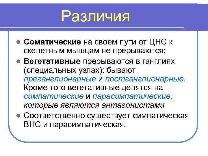 Различия Соматические на своем пути от ЦНС к скелетным мышцам не прерываются; l Вегетативные