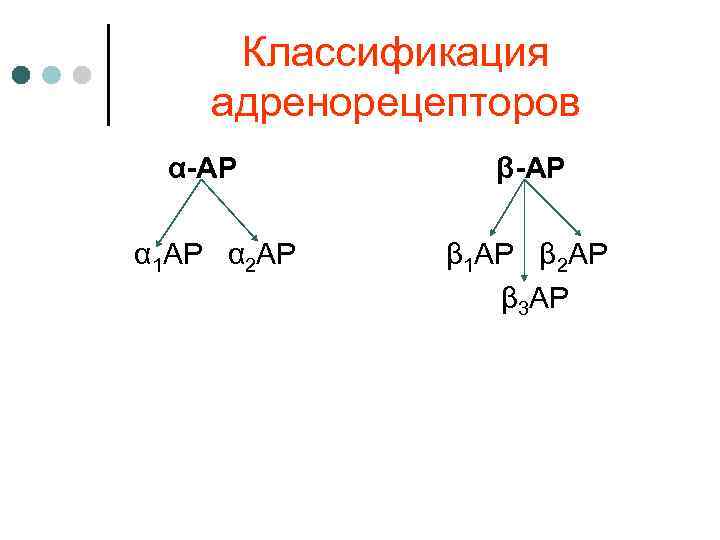 Классификация адренорецепторов α-АР α 1 АР α 2 АР β-АР β 1 АР β