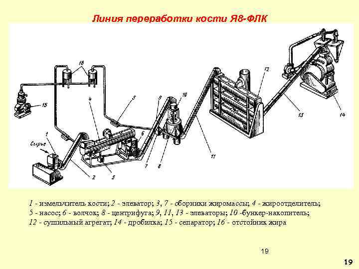 Линия переработки кости Я 8 -ФЛК 1 - измельчитель кости; 2 - элеватор; 3,