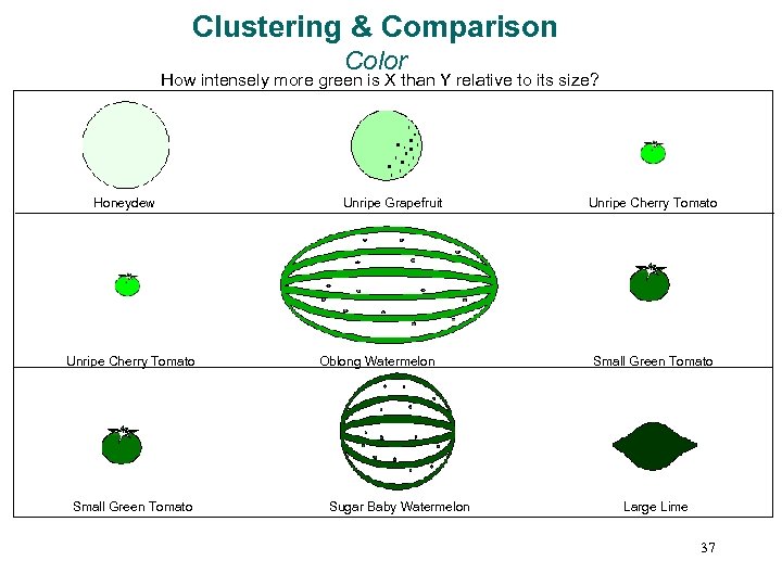 Clustering & Comparison Color How intensely more green is X than Y relative to