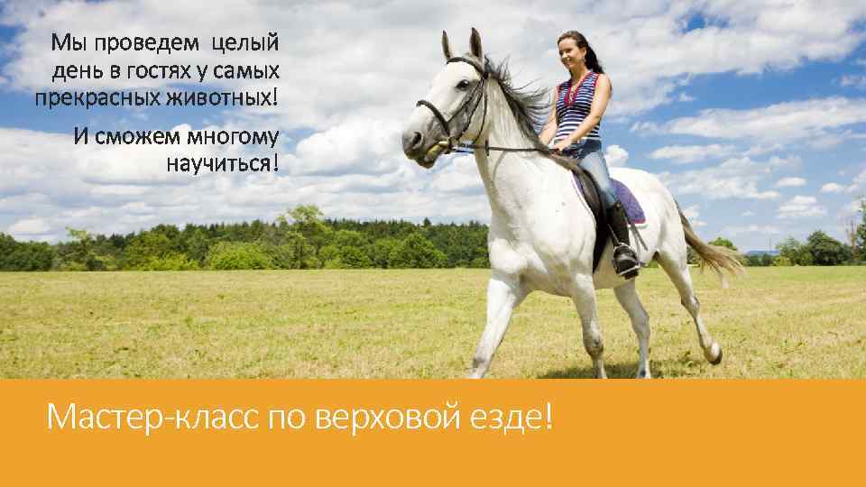 Мы проведем целый день в гостях у самых прекрасных животных! И сможем многому научиться!