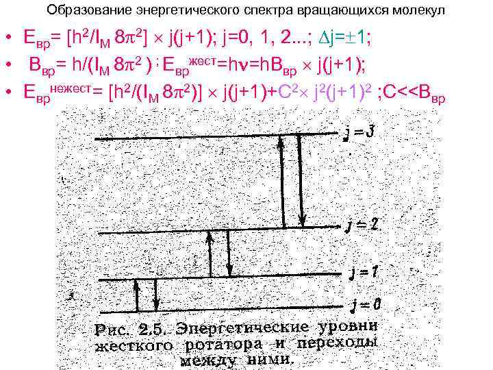 Образование энергетического спектра вращающихся молекул • Евр= [h 2/IM 8 2] j(j+1); j=0, 1,
