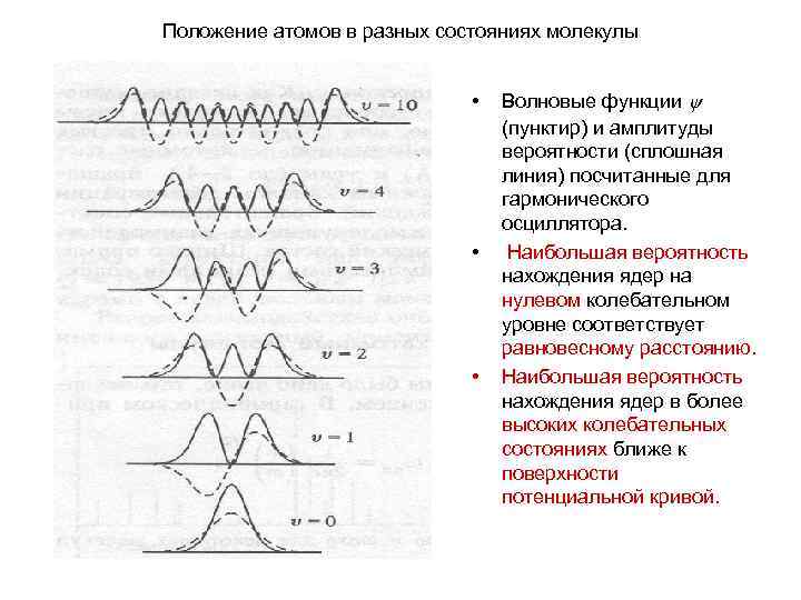 Положение атомов в разных состояниях молекулы • • • Волновые функции (пунктир) и амплитуды