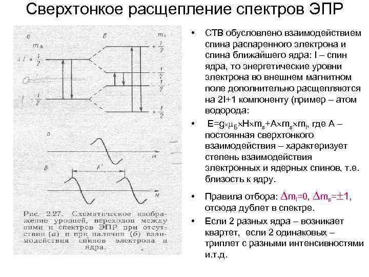 Сверхтонкое расщепление спектров ЭПР • • СТВ обусловлено взаимодействием спина распаренного электрона и спина