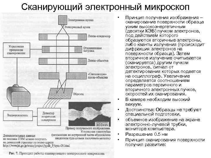 Сканирующий электронный микроскоп • • • Принцип получения изображения – сканирование поверхности образца узким