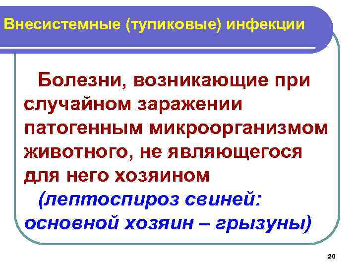 Внесистемные (тупиковые) инфекции Болезни, возникающие при случайном заражении патогенным микроорганизмом животного, не являющегося для