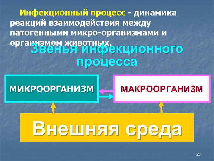 Инфекционный процесс - динамика реакций взаимодействия между патогенными микро-организмами и организмом животных. Звенья инфекционного