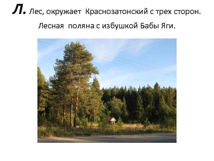 Л. Лес, окружает Краснозатонский с трех сторон. Лесная поляна с избушкой Бабы Яги. 