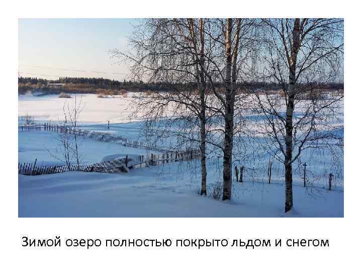 Озеро было полно. Лемболовское озеро зимой. Озеро Графское зимой. Озеро Выльты. Воробино озеро зимой.