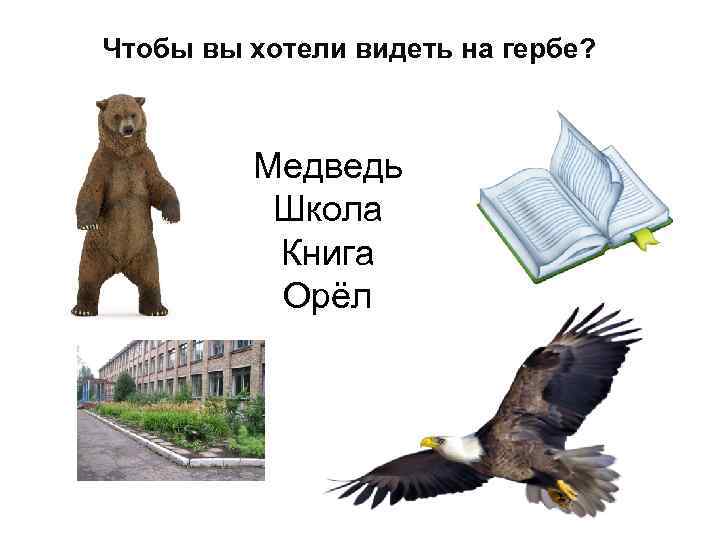 Чтобы вы хотели видеть на гербе? Медведь Школа Книга Орёл 