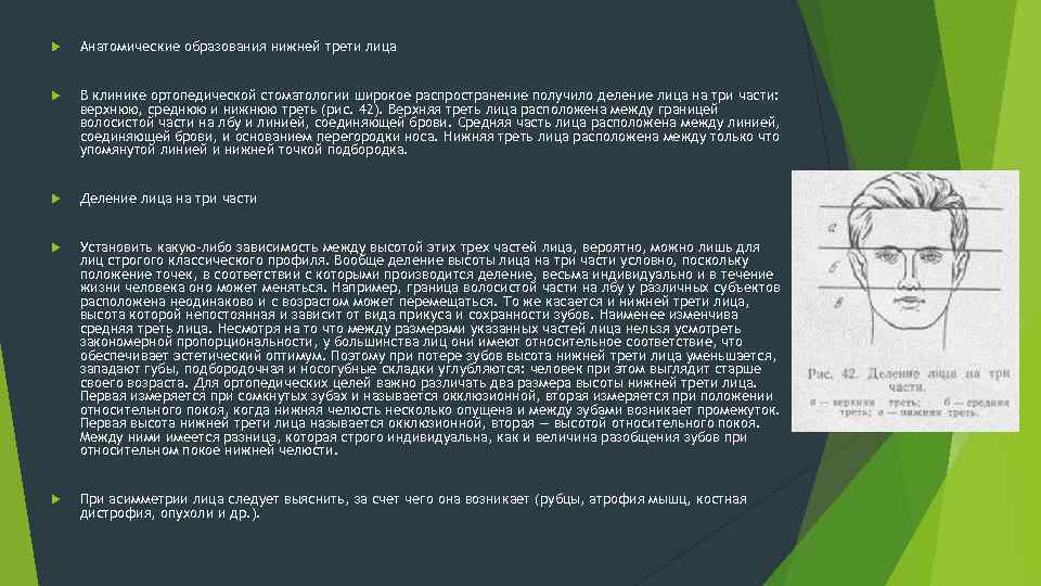  Анатомические образования нижней трети лица В клинике ортопедической стоматологии широкое распространение получило деление